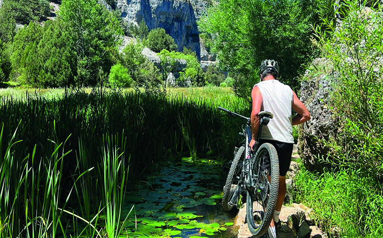 Deporte y naturaleza, la combinación perfecta con ‘Descubre Pinares’