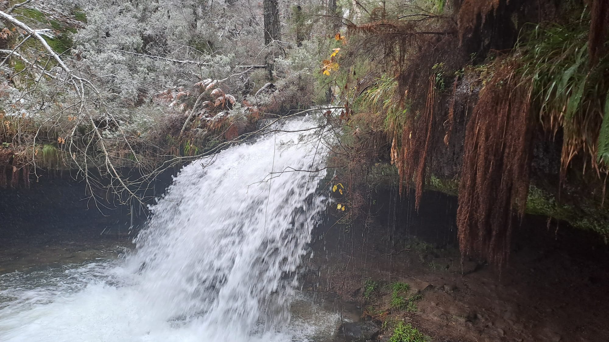 Arranca el invierno meteorológico tras uno de los otoños más lluviosos en Pinares du…