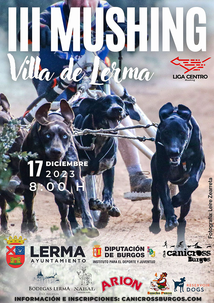 Mushing Lerma 2023