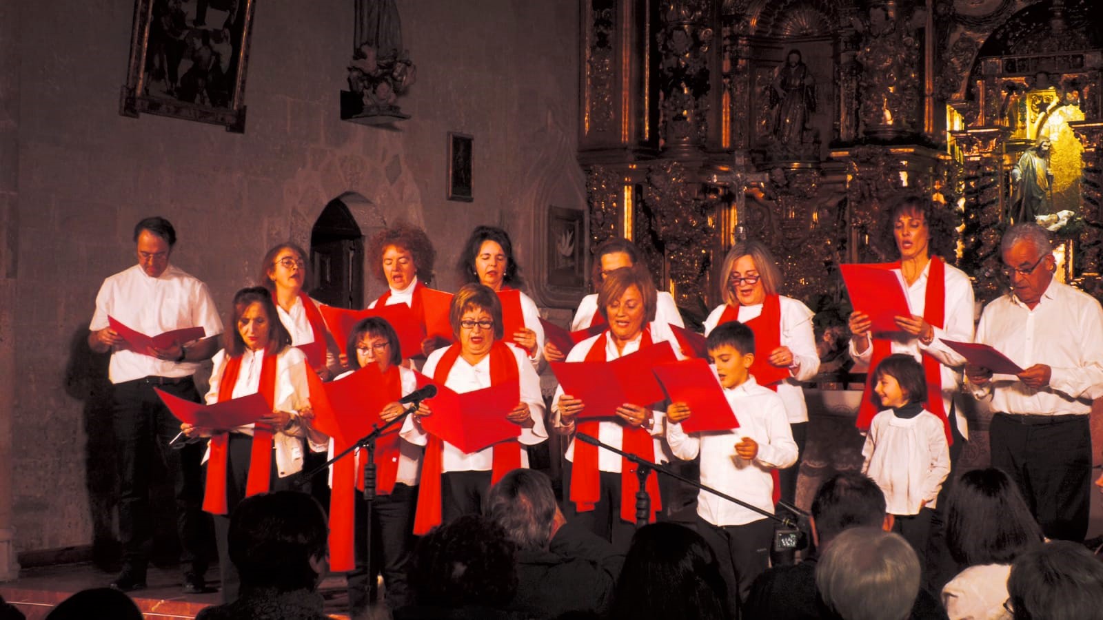 Coro Rabanera del Pinar