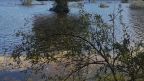 El embalse de La  Cuerda del Pozo está al 84,67% de su capacidad total, por encima del pasado año