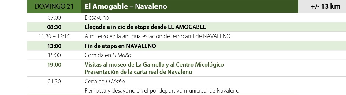RUTA CARRETERIL Suerte de Pinos (3)_pages-to-jpg-0002 - copia - copia