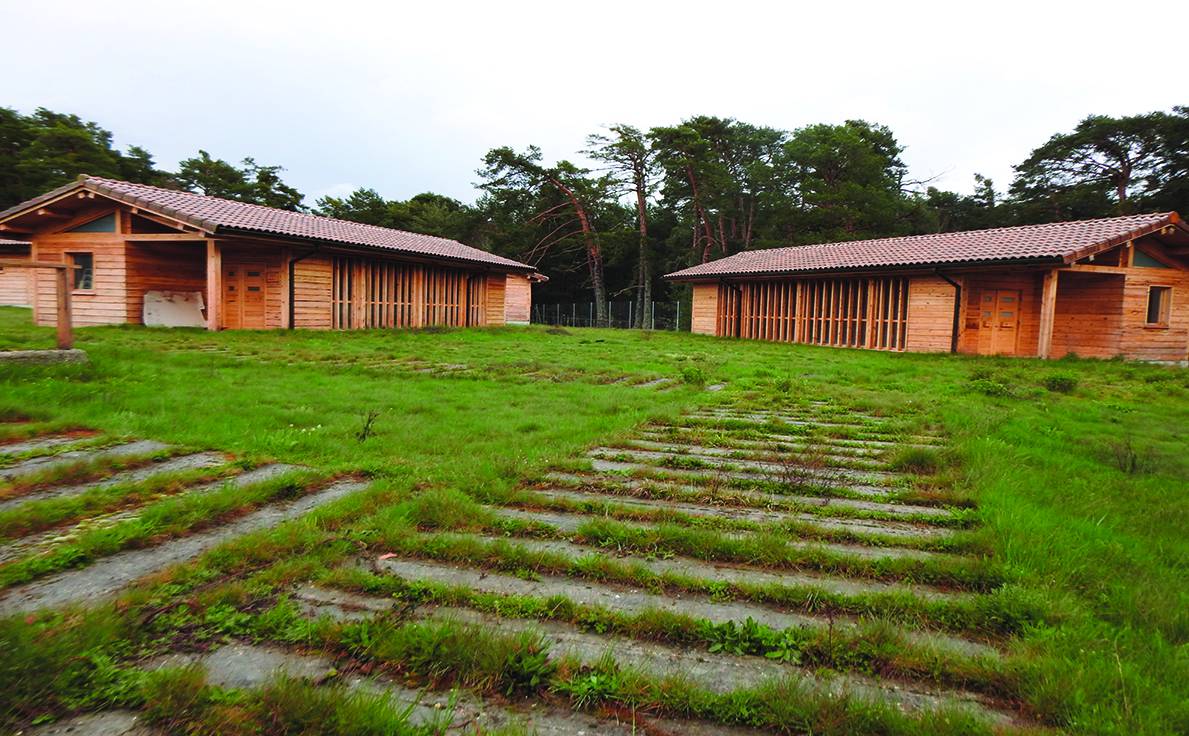 aulas de la naturaleza revenga