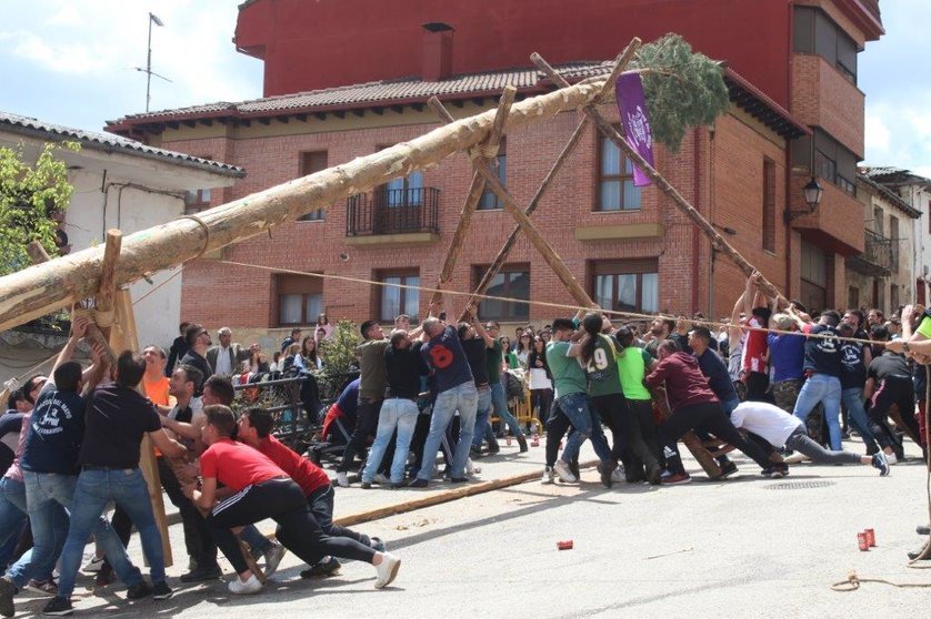 San Leonardo 2023