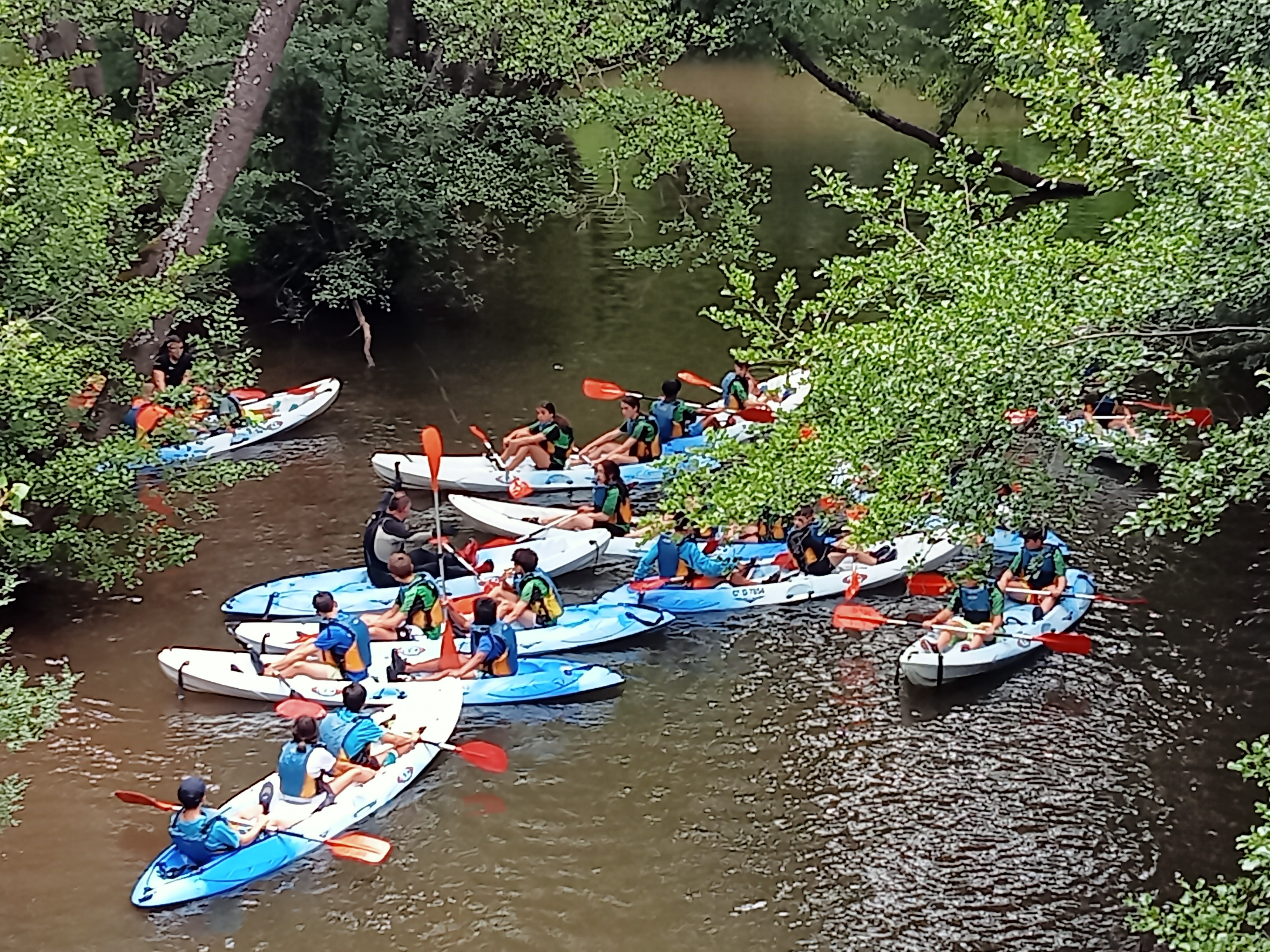IMG20240618175817