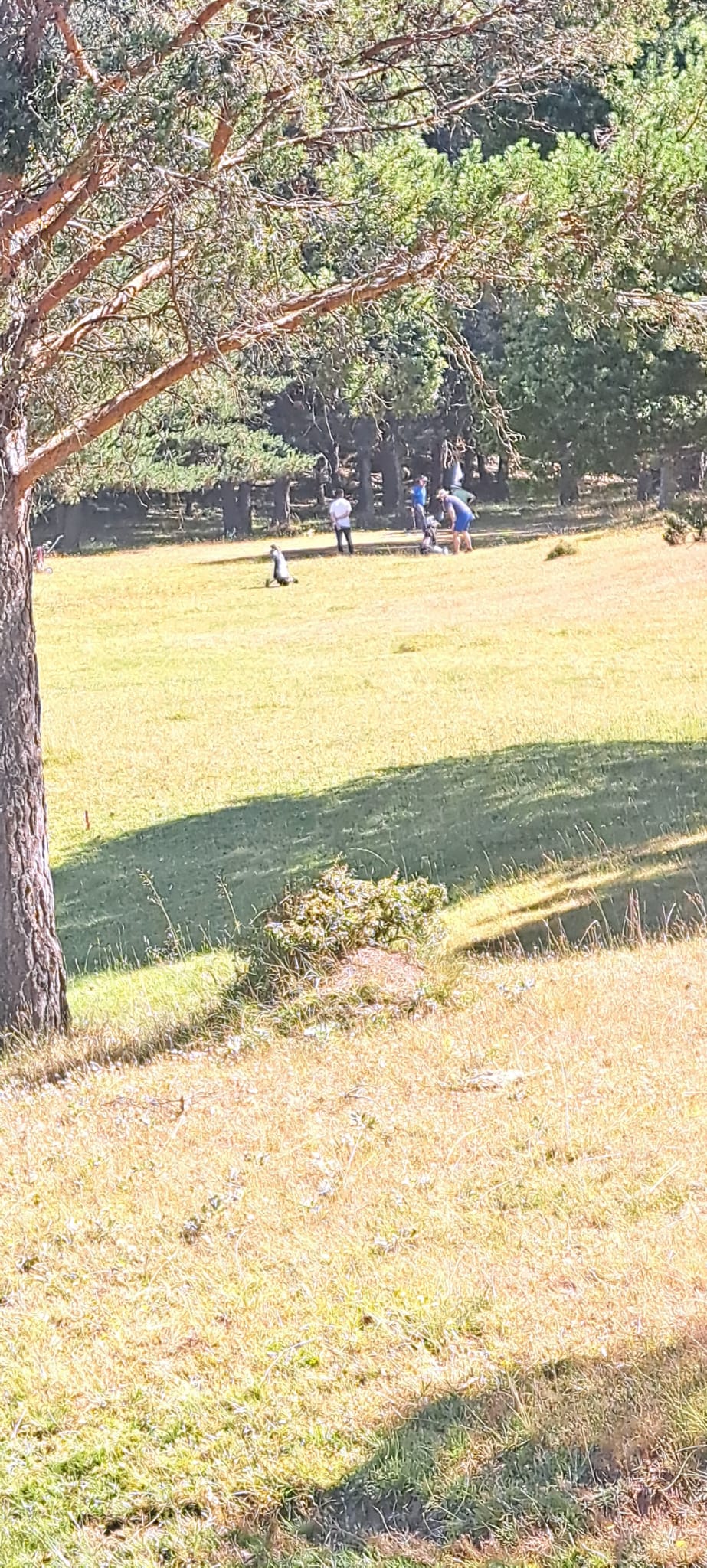 IMG-20240714-WA0002