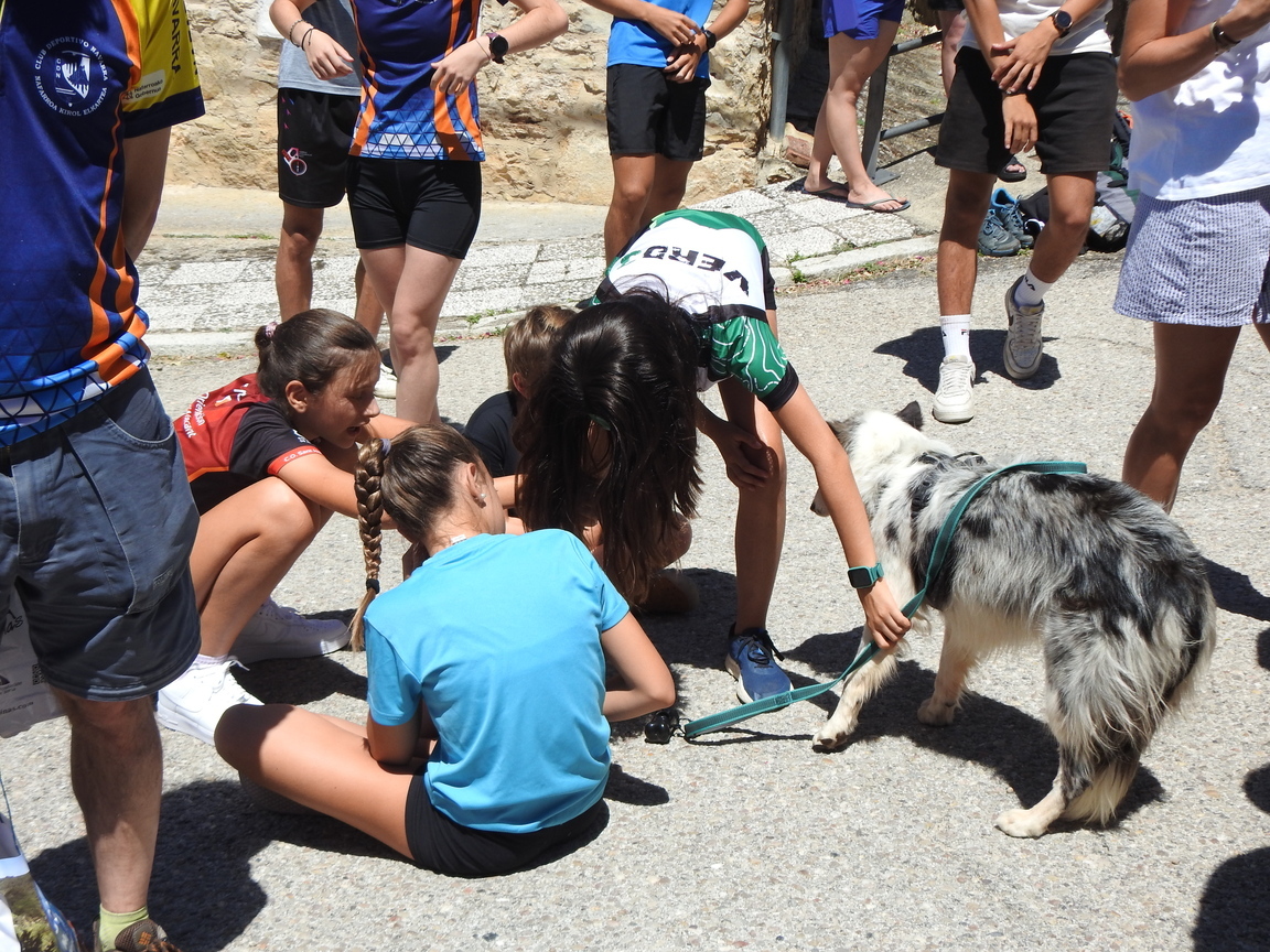 ORIENTACION PINARES EN JULIO (2)