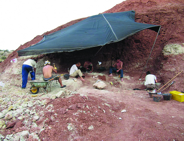COLECTIVO ARQUEOLÓGICO Y PALEONTOLÓGICO Salas
