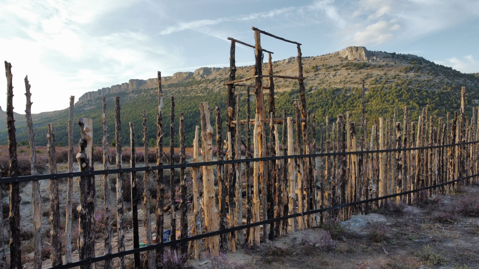 2f3de754-dff7-46ab-a392-87835b8eff45