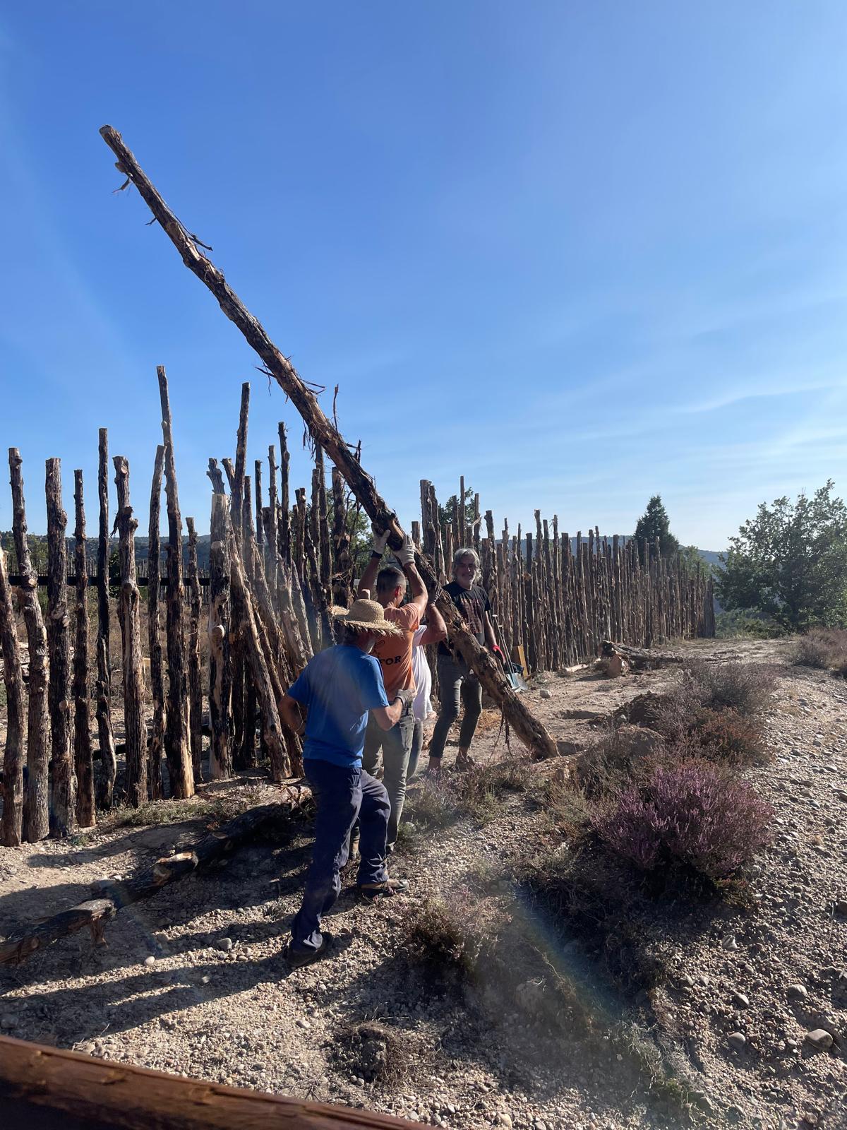 a824111f-458b-4418-8400-f55375cf331a