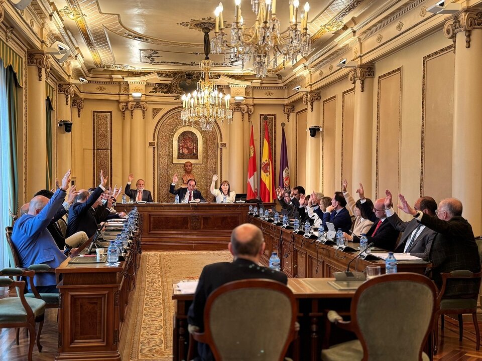 Pleno 02 05 25