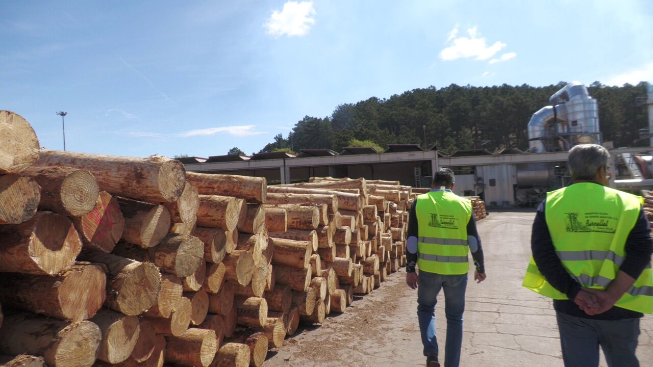 Hasta 120.000 toneladas se manufactura en la empresa
