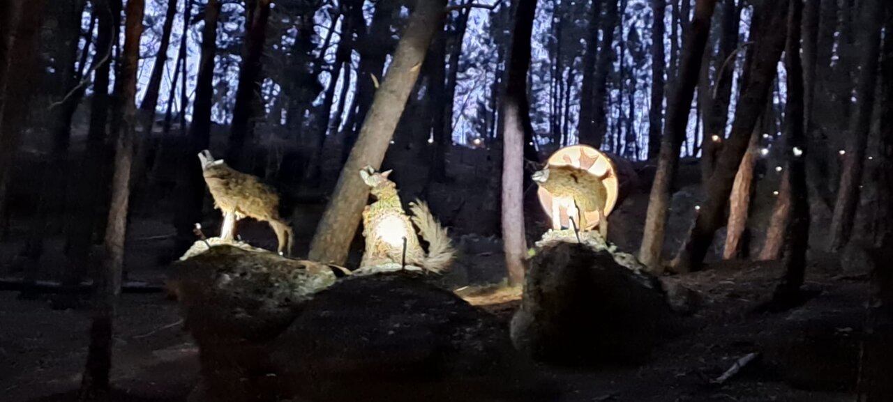 06958eea-40f5-438c-b8d7-52058362d204