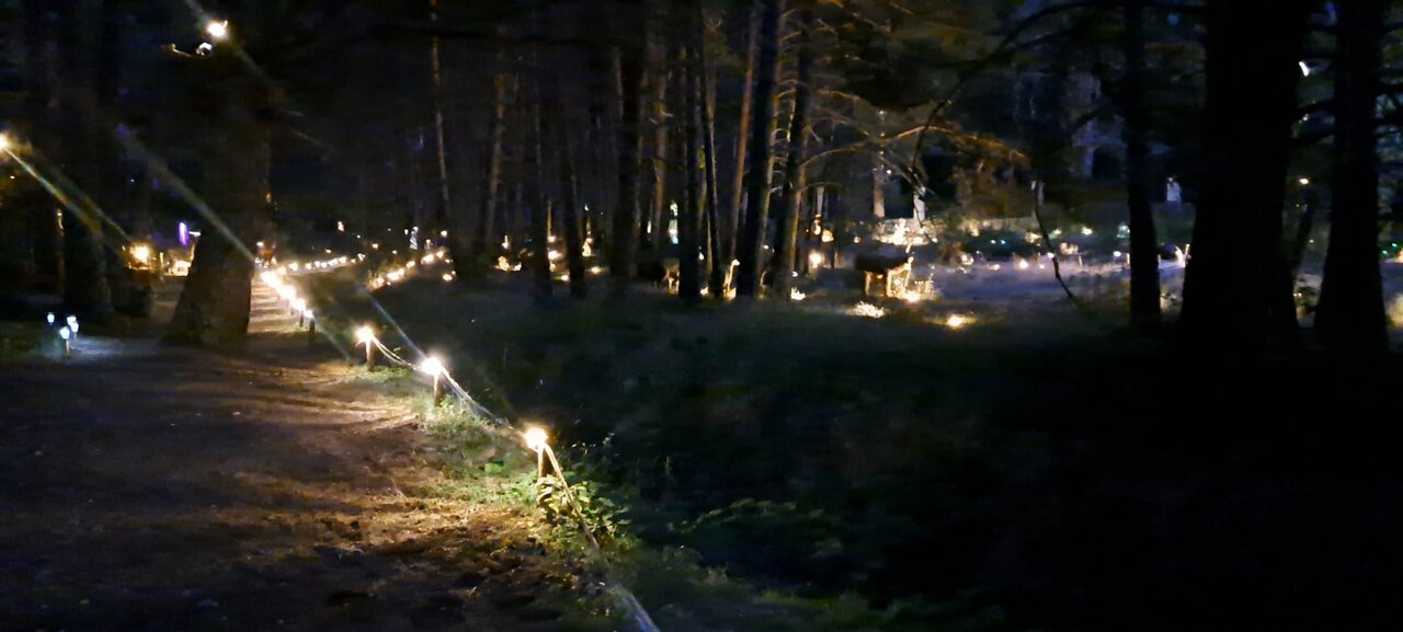 d5f5d544-194a-42c9-be8c-7ad25a25327c