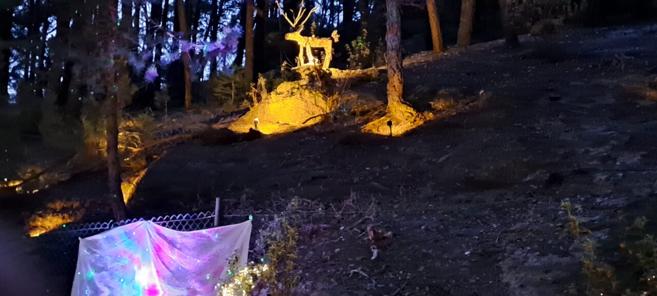 d133383e-6325-430d-aa2b-5893a2d1974b