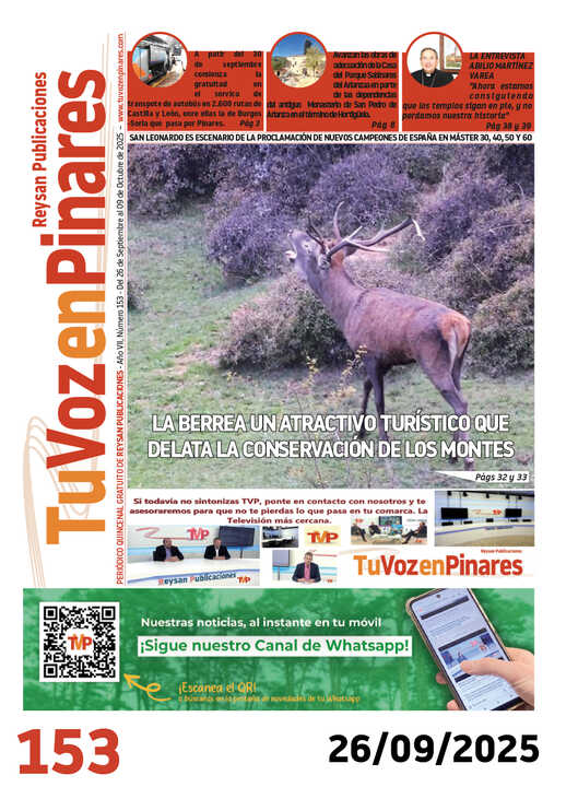 Plantilla
