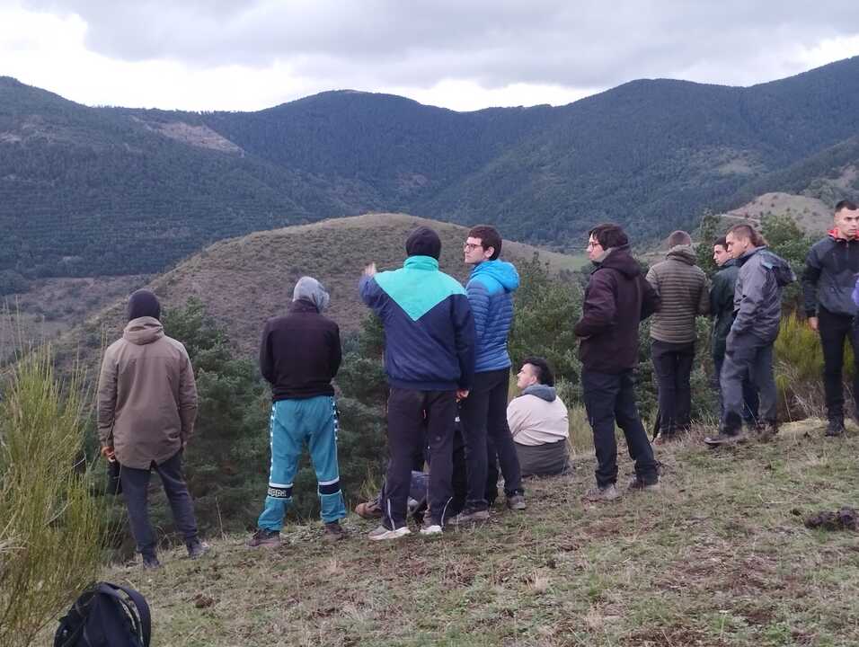 berrea