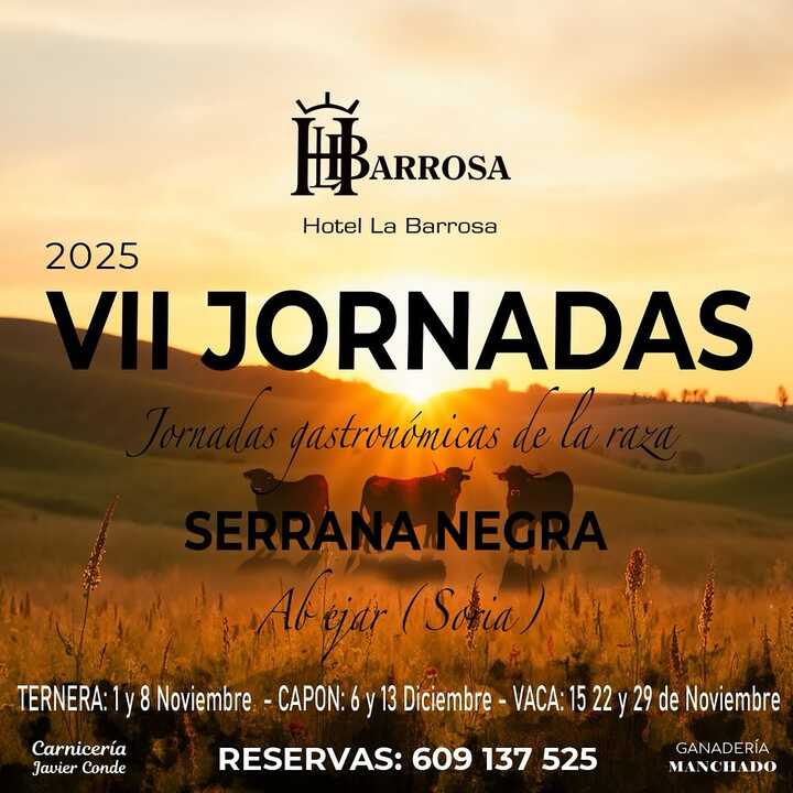 Publicidad 85510