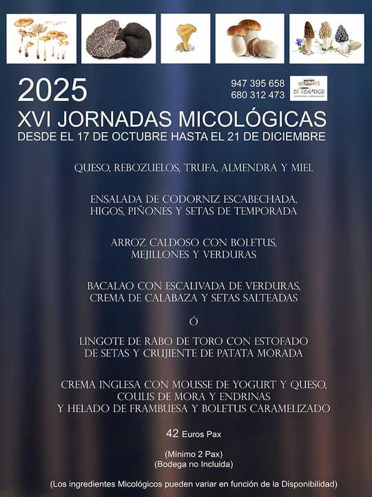 Publicidad 85512