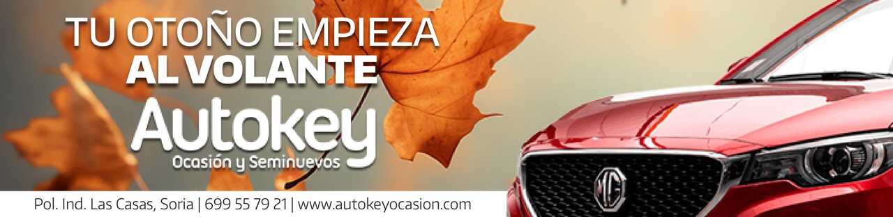 Publicidad 85660