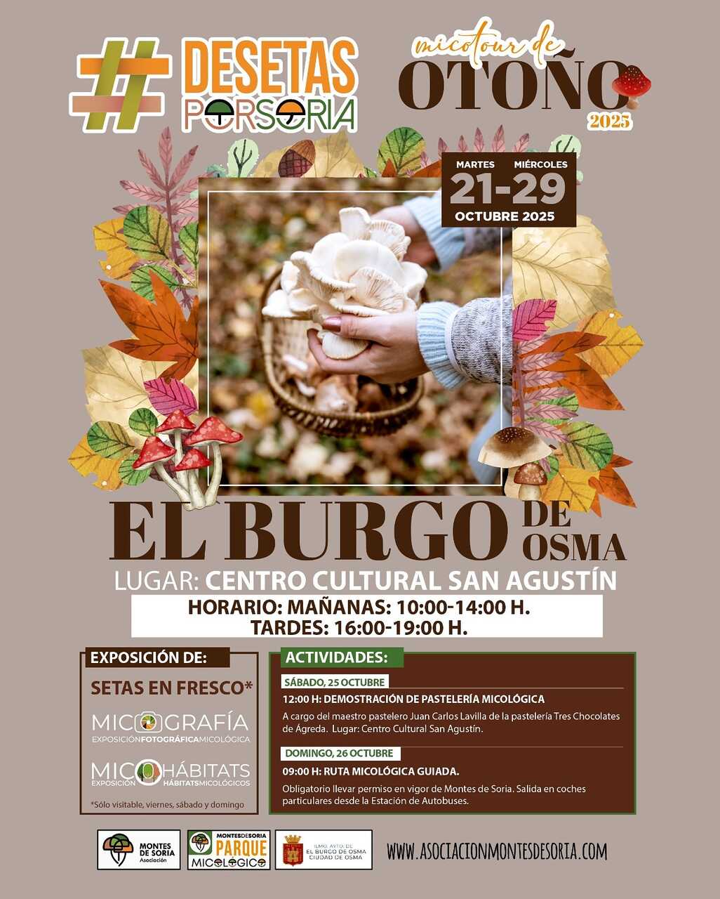 Publicidad 85736