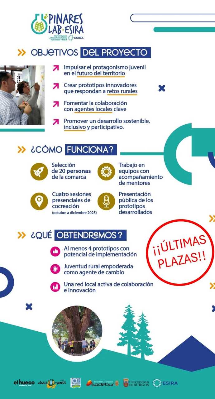 Publicidad 85735
