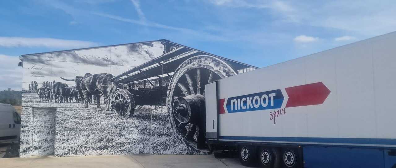 WhatsApp Image 2025-11-04 at 12.13.58