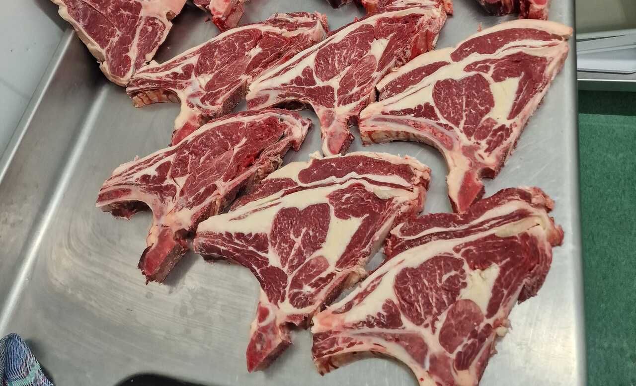 WhatsApp Image 2025-11-04 at 06.42.37