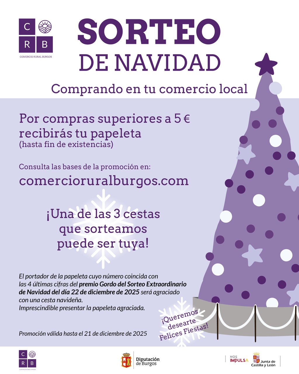 DIPUTACIÓN DE BURGOS