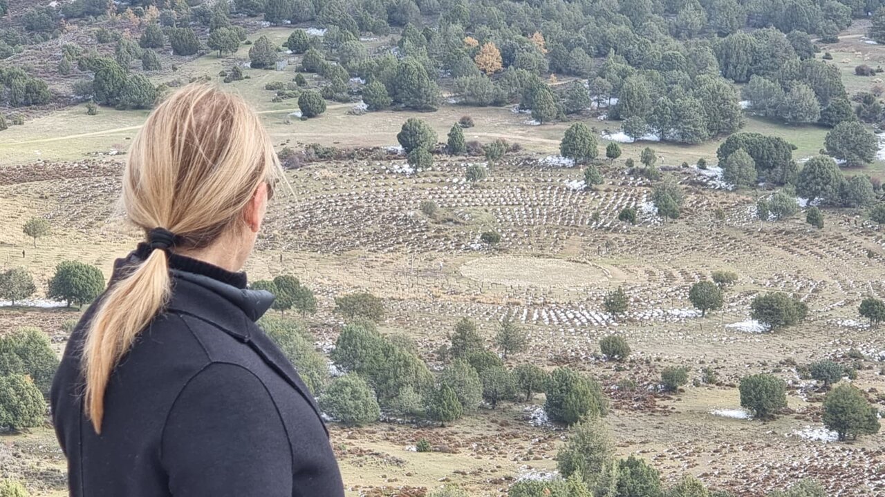 2ce7b498-b6c0-4680-ab86-f00554faff40