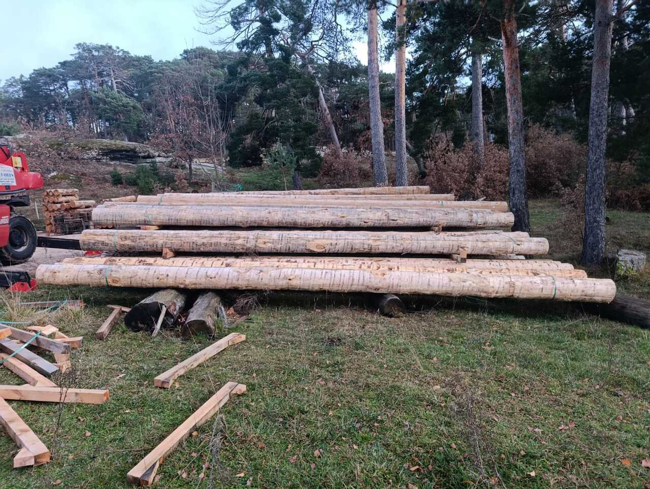 b8a83c6c-3c9a-4e4e-bcab-205965746f9a