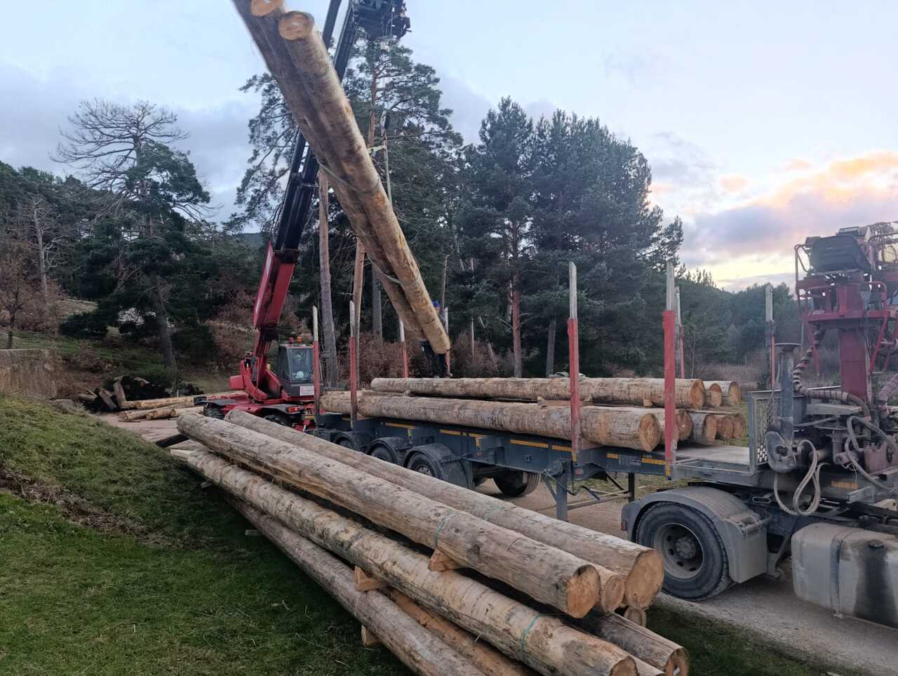 f7d5155e-d477-4b72-9204-6e71b69584da