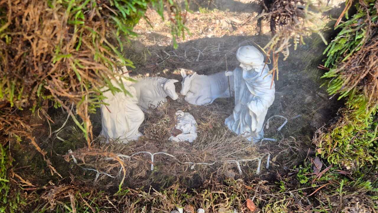 7eadc365-4c21-4335-af0d-40630bd67a84