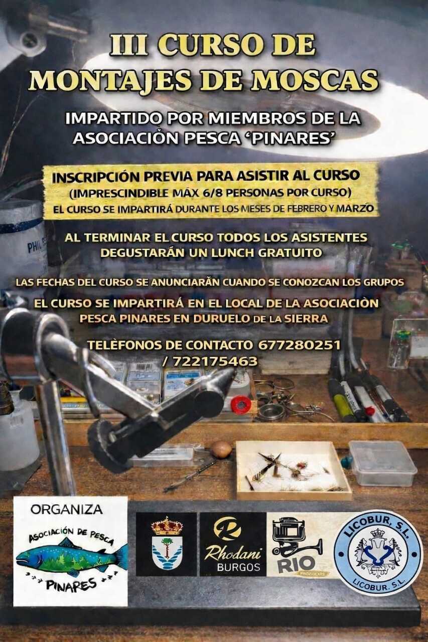 0cc500c9-954d-403a-ac0a-bbd134860acd