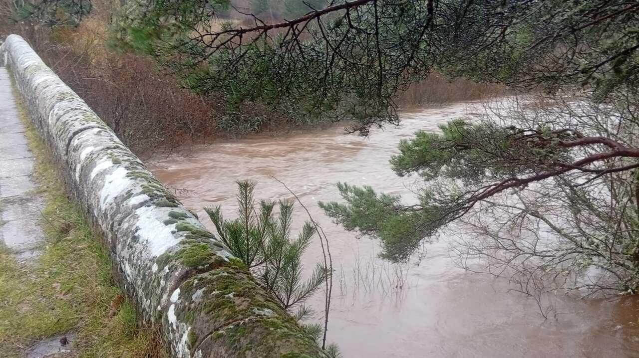 9010168c-388e-4ae6-b881-f0e062b6a1c1