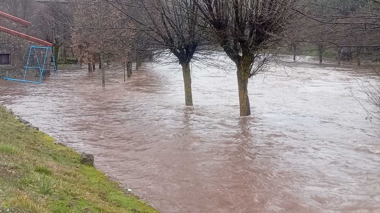 b0f1d921-08cc-4529-9f10-fedd3d741adf