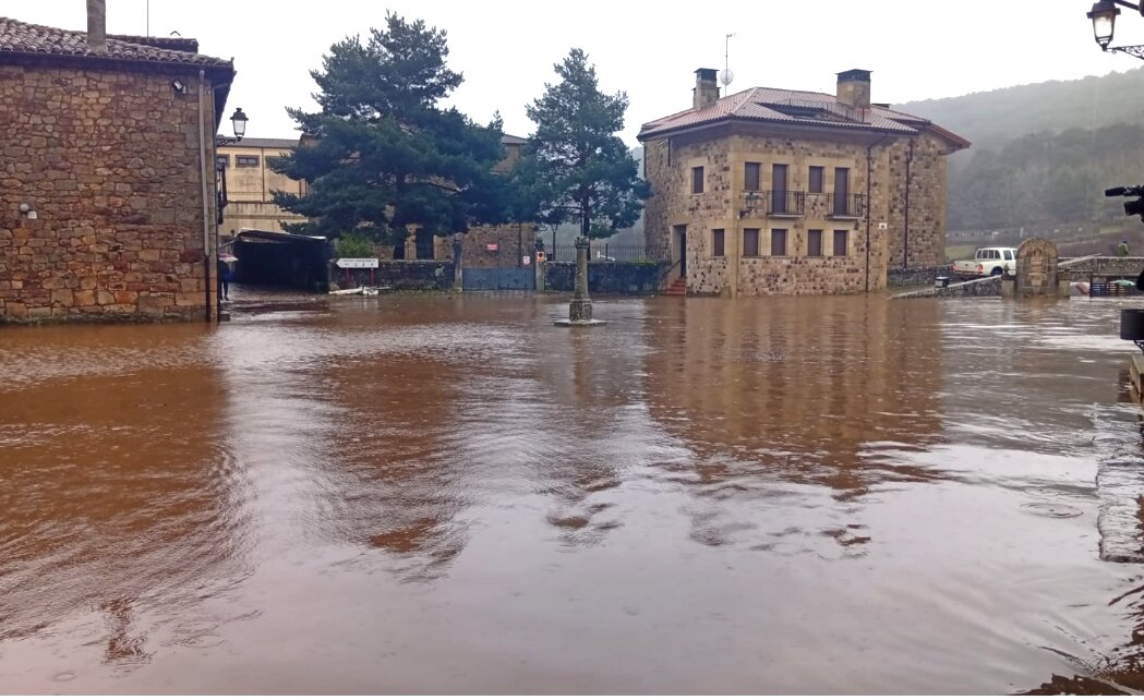 Captura de pantalla 2026-02-10 161557