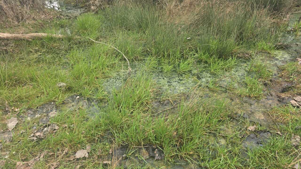 abd7a783-9df6-4eb4-a8e9-daf6b3e11d61