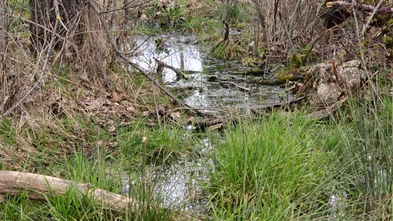 5e41fd9e-3956-4e88-9a6e-b1527282d912