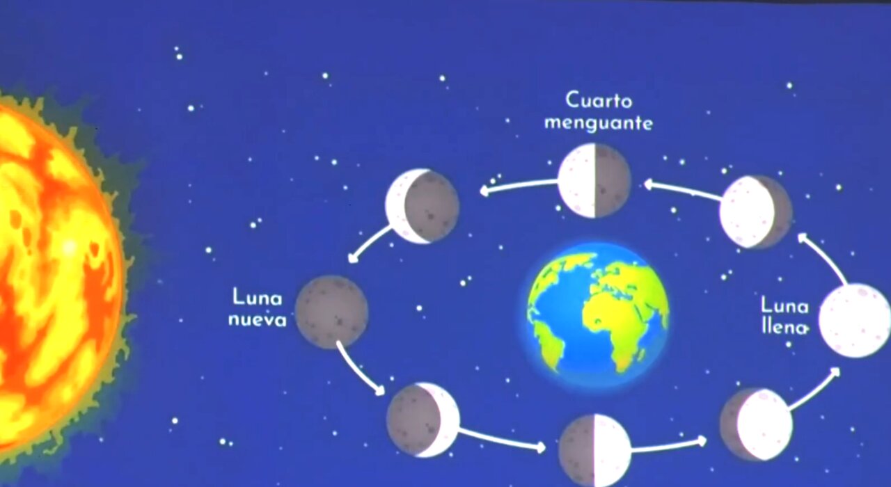 Captura de pantalla 2026-03-24 152658