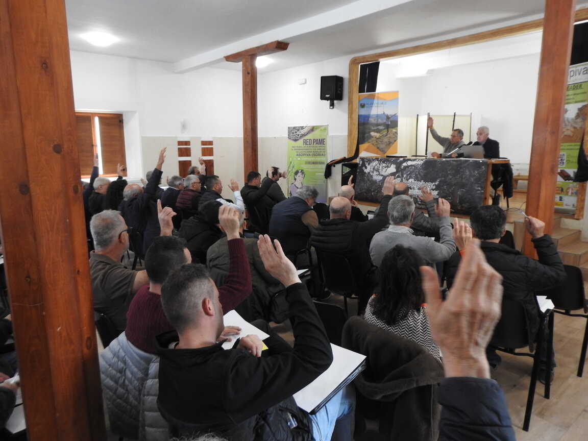 ASAMBLEA ASOPIVA (3)