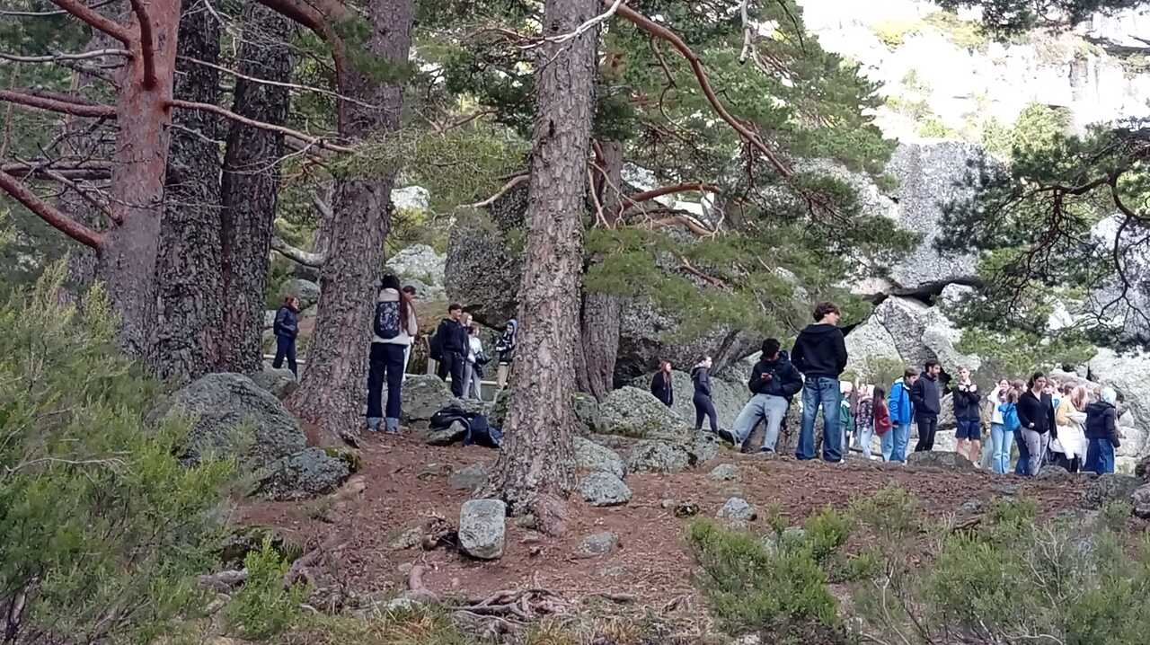 INTERCAMBIO IES SAN LEOANRDO (2)