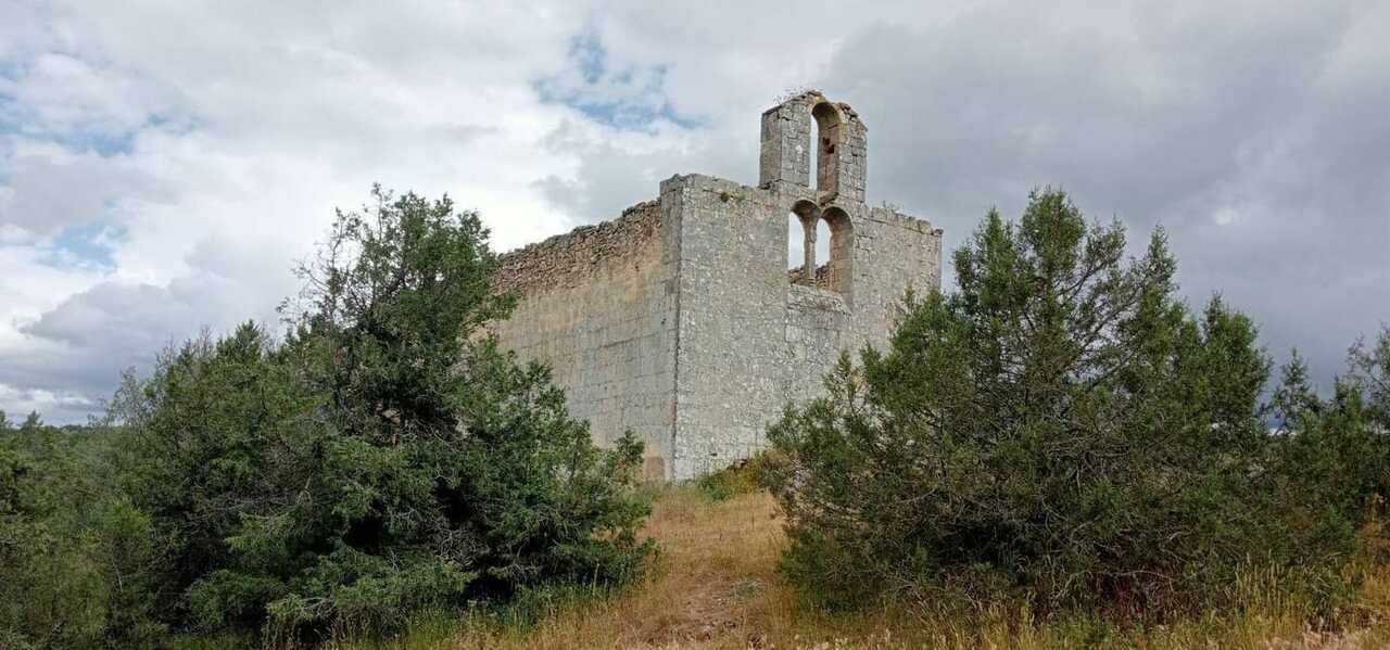 san-pelayo-hortiguela_01