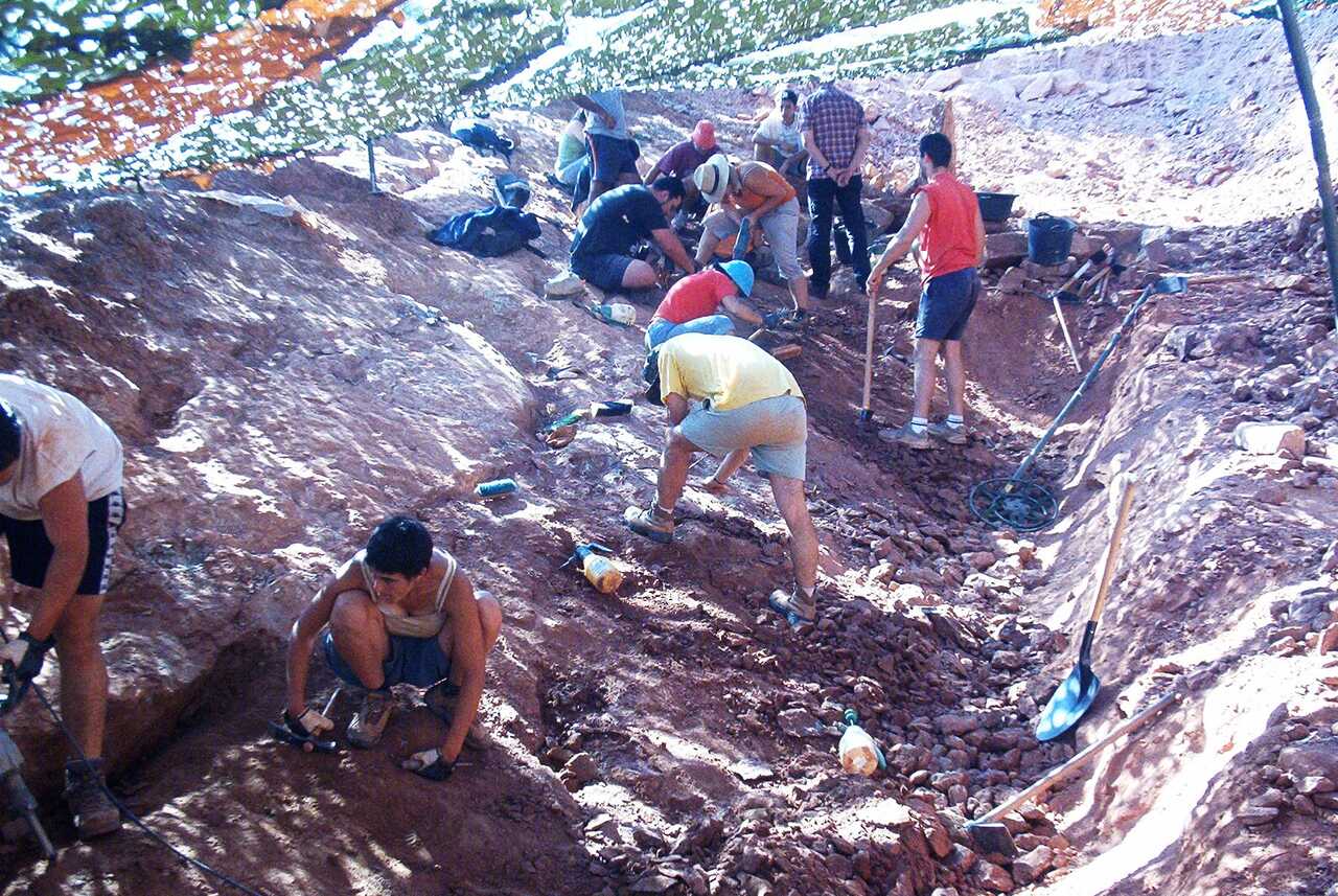 excavación Demandasaurus 2003