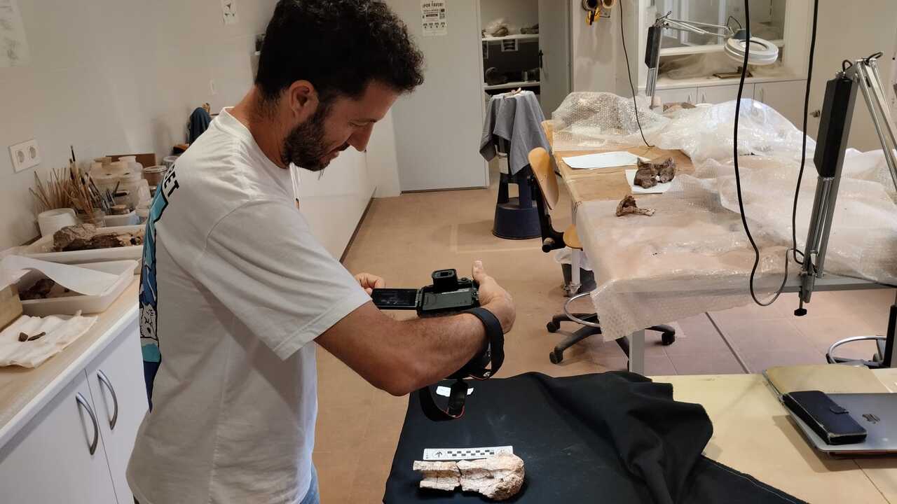 Bernat Vila trabajando con Demandasaurus