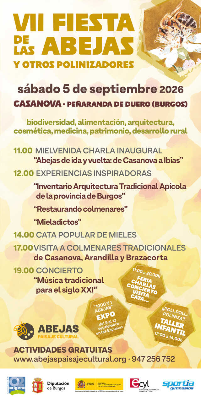 Publicidad 95181
